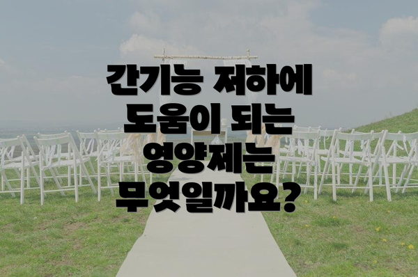 간기능 저하에 도움이 되는 영양제는 무엇일까요?
