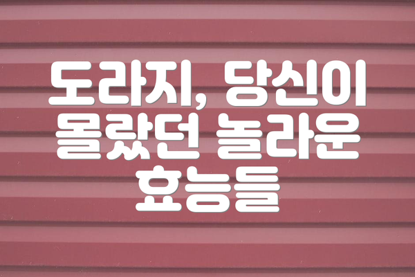 도라지, 당신이 몰랐던 놀라운 효능들