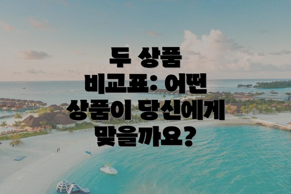 두 상품 비교표: 어떤 상품이 당신에게 맞을까요?