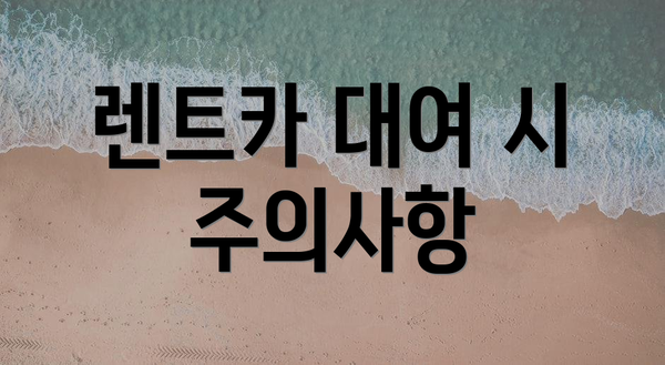 렌트카 대여 시 주의사항