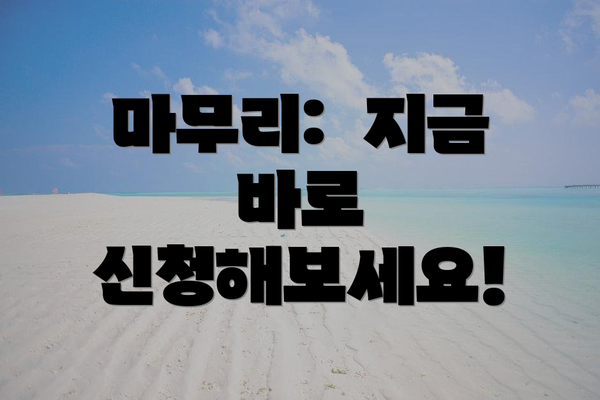 마무리:  지금 바로 신청해보세요!
