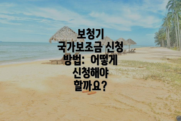 보청기 국가보조금 신청 방법:  어떻게 신청해야 할까요?