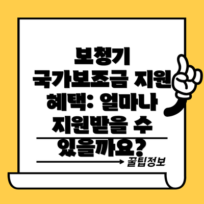 보청기 국가보조금 지원 혜택: 얼마나 지원받을 수 있을까요?