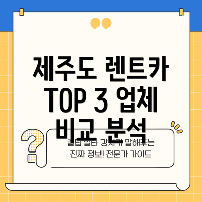제주도 렌트카 TOP 3 업체 비교 분석