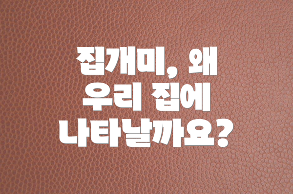 집개미, 왜 우리 집에 나타날까요?