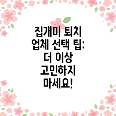 집개미 퇴치 업체 선택 팁:  더 이상 고민하지 마세요!