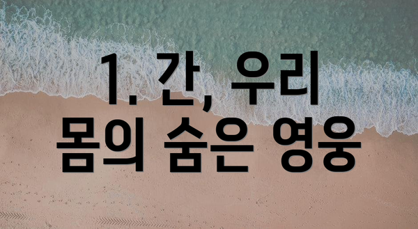 1. 간, 우리 몸의 숨은 영웅