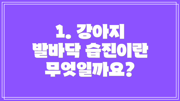 1. 강아지 발바닥 습진이란 무엇일까요?