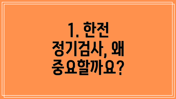 1. 한전 정기검사, 왜 중요할까요?
