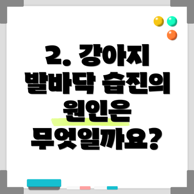 2. 강아지 발바닥 습진의 원인은 무엇일까요?