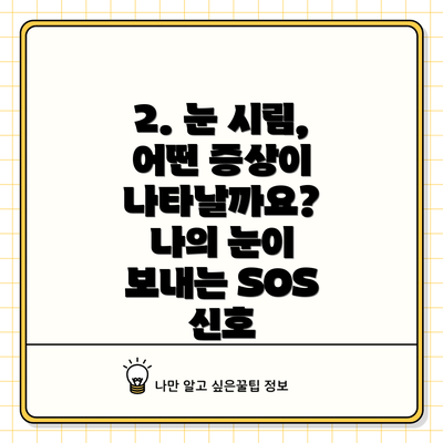 2. 눈 시림, 어떤 증상이 나타날까요? 나의 눈이 보내는 SOS 신호