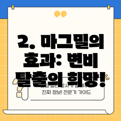 2. 마그밀의 효과: 변비 탈출의 희망!