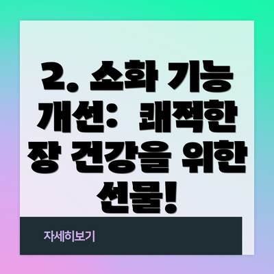 2. 소화 기능 개선:  쾌적한 장 건강을 위한 선물!