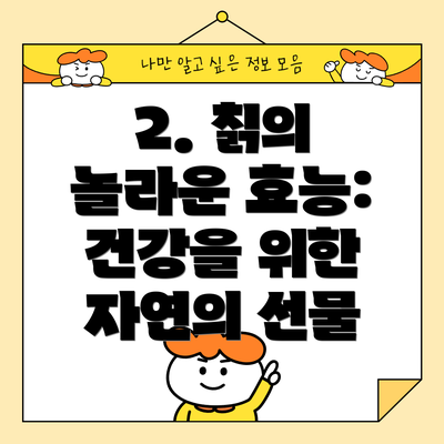 2. 칡의 놀라운 효능: 건강을 위한 자연의 선물