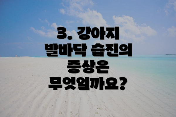 3. 강아지 발바닥 습진의 증상은 무엇일까요?