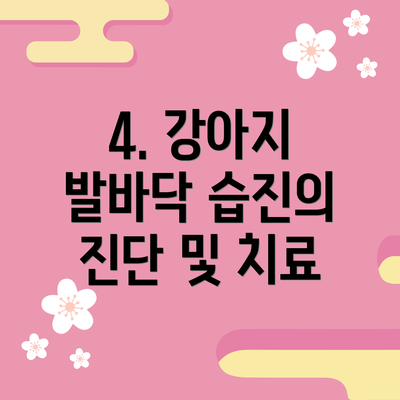 4. 강아지 발바닥 습진의 진단 및 치료