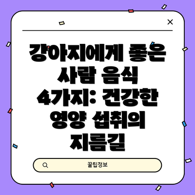 강아지에게 좋은 사람 음식 4가지: 건강한 영양 섭취의 지름길