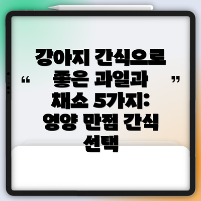 강아지 간식으로 좋은 과일과 채소 5가지: 영양 만점 간식 선택