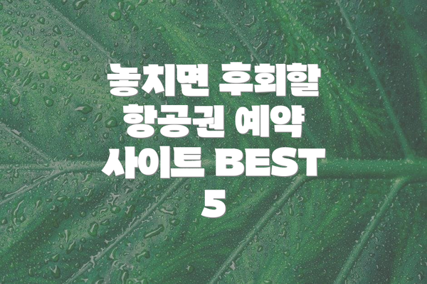 놓치면 후회할 항공권 예약 사이트 BEST 5