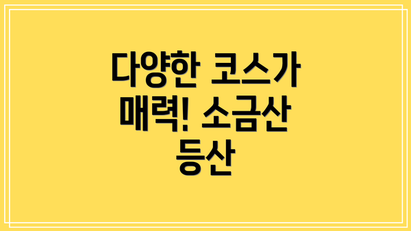 다양한 코스가 매력! 소금산 등산