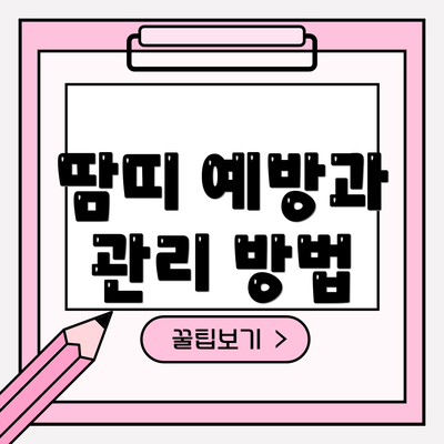 땀띠 예방과 관리 방법