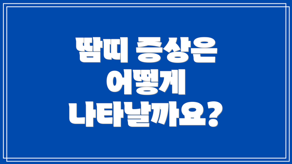 땀띠 증상은 어떻게 나타날까요?