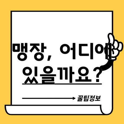 맹장, 어디에 있을까요?