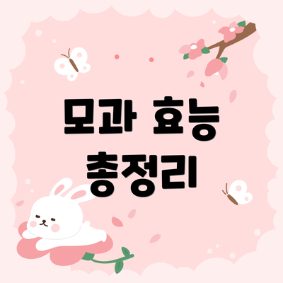 모과 효능 총정리