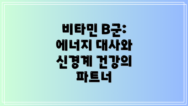 비타민 B군: 에너지 대사와 신경계 건강의 파트너