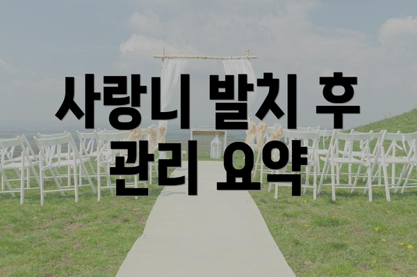 사랑니 발치 후 관리 요약