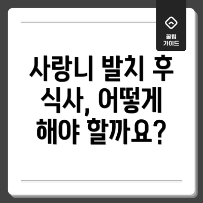 사랑니 발치 후 식사, 어떻게 해야 할까요?
