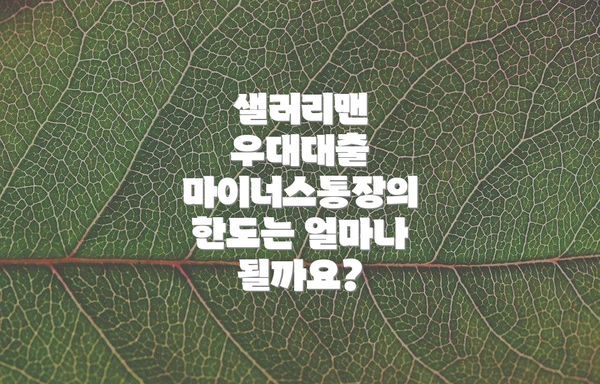 샐러리맨 우대대출 마이너스통장 자격 조건은 어떻게 될까요?