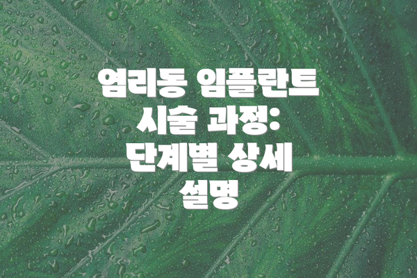 염리동 임플란트 시술 과정: 단계별 상세 설명