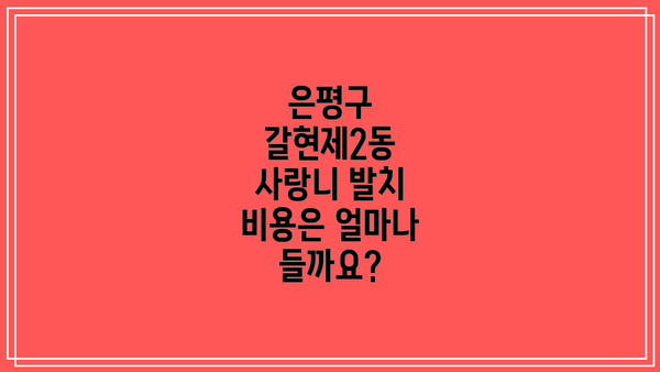 은평구 갈현제2동 사랑니 발치 비용은 얼마나 들까요?