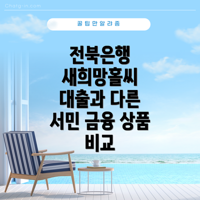 전북은행 새희망홀씨 대출과 다른 서민 금융 상품 비교