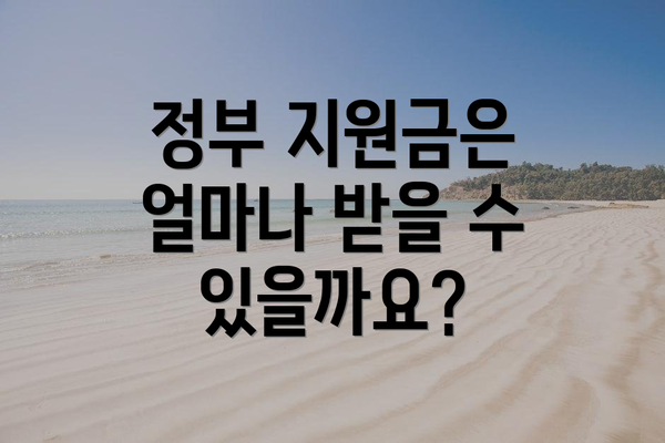 정부 지원금은 얼마나 받을 수 있을까요?