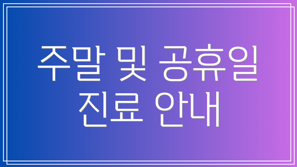 주말 및 공휴일 진료 안내