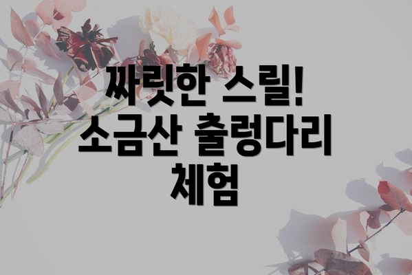 짜릿한 스릴! 소금산 출렁다리 체험