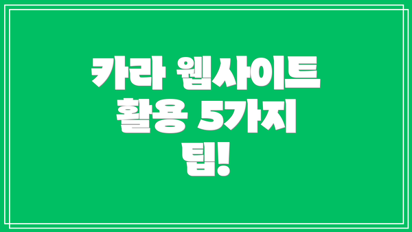 카라 웹사이트 활용 5가지 팁!