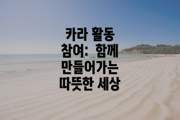 카라 활동 참여: 함께 만들어가는 따뜻한 세상