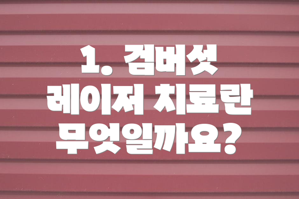 1. 검버섯 레이저 치료란 무엇일까요?