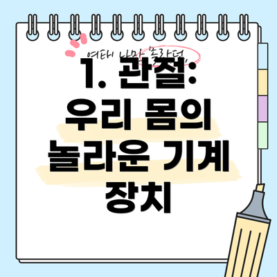 1. 관절: 우리 몸의 놀라운 기계 장치