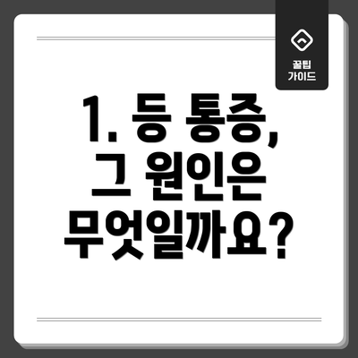 1. 등 통증, 그 원인은 무엇일까요?