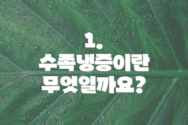 1. 수족냉증이란 무엇일까요?