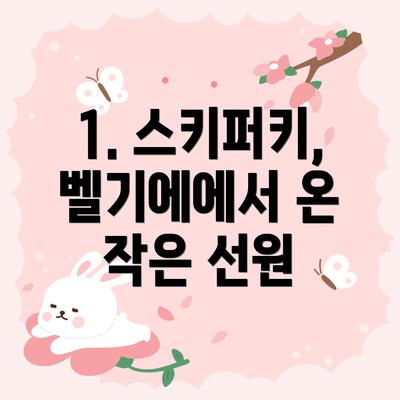 1. 스키퍼키, 벨기에에서 온 작은 선원