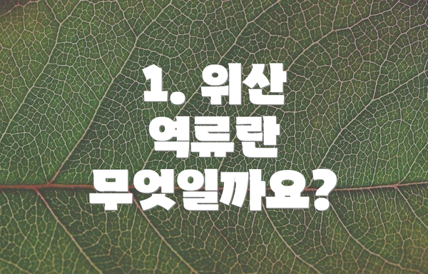 1. 위산 역류란 무엇일까요?