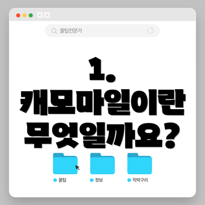 1. 캐모마일이란 무엇일까요?