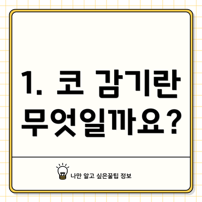 1. 코 감기란 무엇일까요?