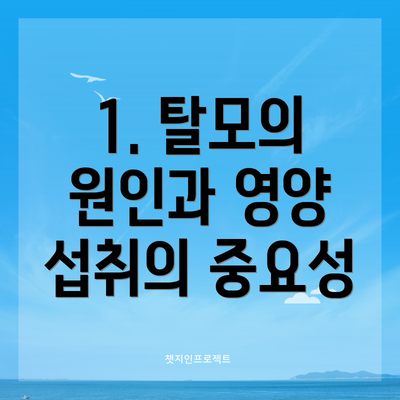 1. 탈모의 원인과 영양 섭취의 중요성
