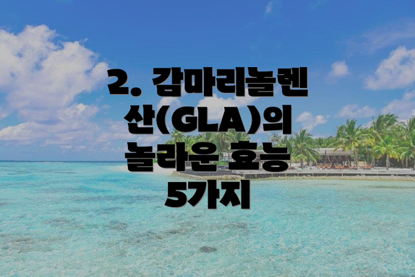 2. 감마리놀렌산(GLA)의 놀라운 효능 5가지